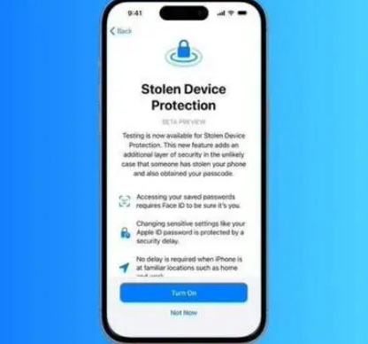 三才镇苹果授权维修店分享被盗设备保护功能开启方法 