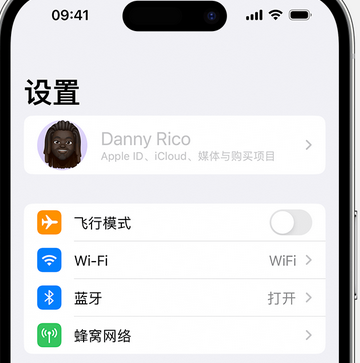 三才镇appleID维修服务iPhone设置中Apple ID显示为灰色无法使用 