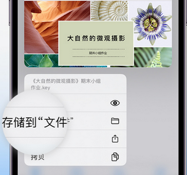 三才镇apple维修中心分享iPhone文件应用中存储和找到下载文件