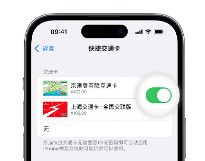 三才镇apple维修点分享iPhone上更换Apple Pay快捷交通卡手绘卡面 