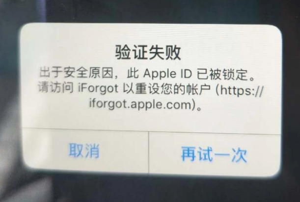 三才镇iPhone维修分享iPhone上正常登录或使用AppleID怎么办 