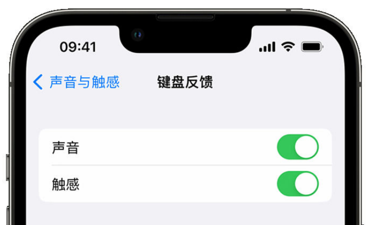 三才镇苹果手机维修分享iPhone 14触感键盘使用方法 