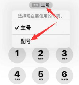 三才镇苹果14维修店分享iPhone 14 Pro Max使用副卡打电话的方法 