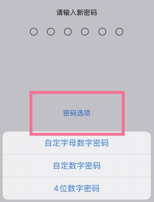 三才镇苹果14维修分享iPhone 14plus设置密码的方法 