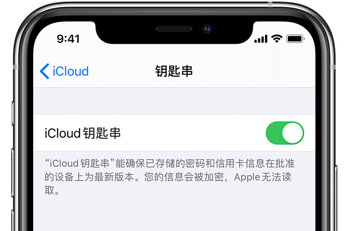 三才镇苹果手机维修分享在 iPhone 上开启 iCloud 钥匙串之后会储存哪些信息 