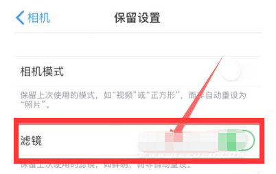 三才镇苹果13维修分享iPhone13拍照有绿点是怎么回事 