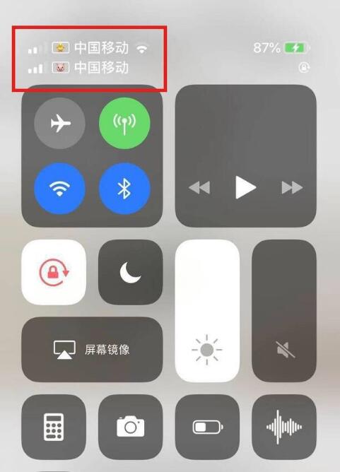 三才镇苹果手机维修分享为 iPhone 12 双卡设置标签 