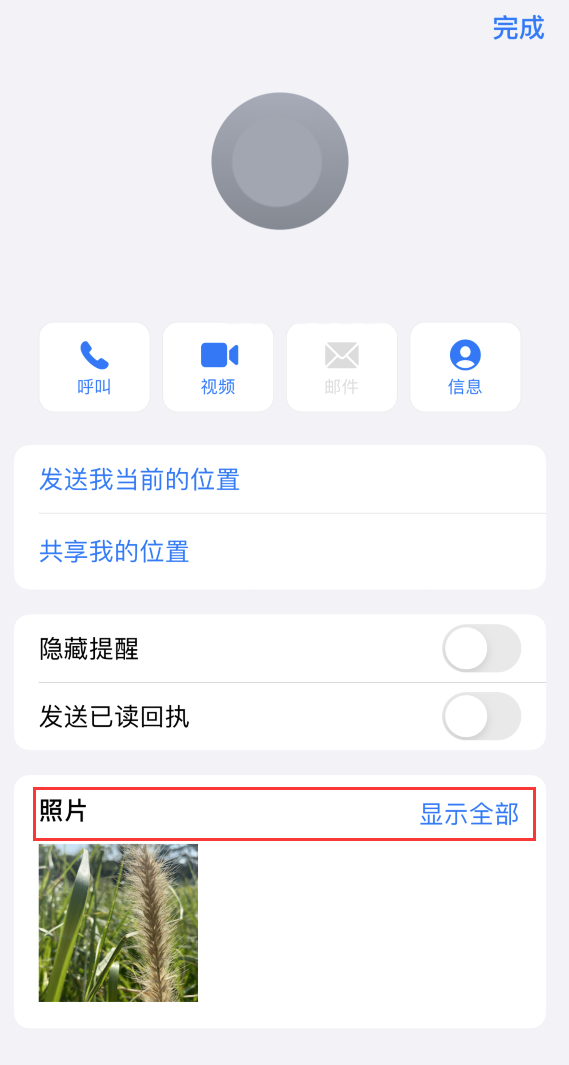 三才镇苹果手机维修分享如何快速查找 iMessage 信息中的图片等附件 